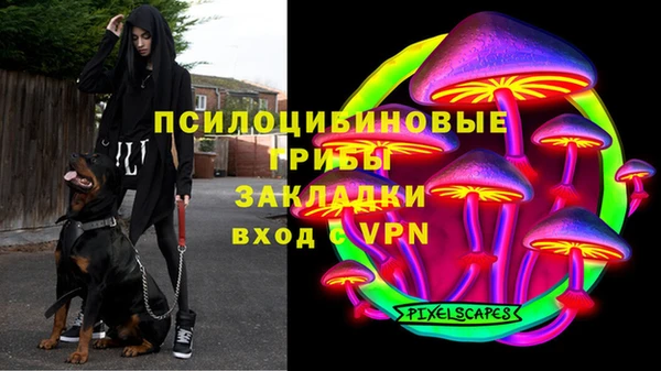 ГАЛЛЮЦИНОГЕННЫЕ ГРИБЫ Протвино